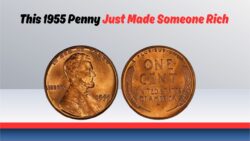 This 1955 Doubled Die Penny Found in a Tip Jar Just Sold for $775,000 – Yours Could Be Next